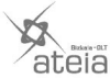 logo-ateia-bi 1.png